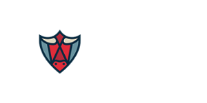 BetBull 500x500_white